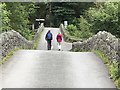 Bridges in Borrowdale