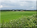 Farmland towards Bridge Farm