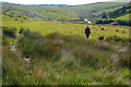 Exmoor : Moorland Scenery