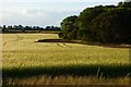 Farmland, Buckland