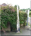 Old boundary marker on Saughall Road