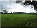 Field near Heath Farm