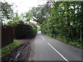 Mill Lane towards Ness