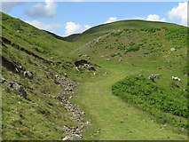NT9628 : Path north of Humbleton Hill by Andrew Curtis