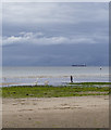 J5282 : Ballyholme Beach, Bangor by Rossographer