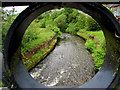 Downstream along the Rhymney River, New Tredegar