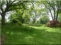 ST3605 : The Park Garden, Forde Abbey by Chris Gunns