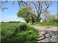 Bellasize  Lane  and  Mill  Lane  junction