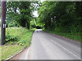 Tree lined part of Hale Road