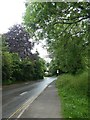 Barracks Hill, Totnes