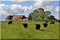 NT6734 : Farmland at Haymount by Walter Baxter