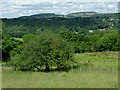 Farmland at Boarfold