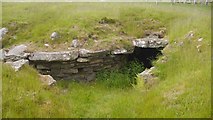 NH7701 : Damage, Raitts souterrain by Richard Webb