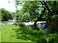 River Etherow