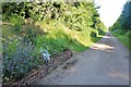 Private track to Hatfield House