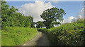 Lane to Tawmoor Cross