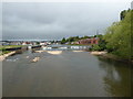 SX9291 : River Exe at Trew's Weir by Chris Allen