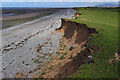 SD1865 : Eroding coastline at Middle Hill by Ian Taylor
