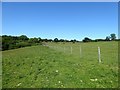 Barn Field