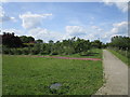 Orchard and footpath from the church, Burton Pedwardine