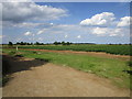 Potato field at Kirkby La Thorpe