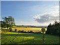 Letcombe Bassett: views from the churchyard (1)