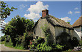 Woodsdown Cottages