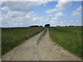 Farm track, Swaton Common