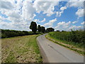 Middle Road near Bentley House Farm