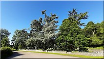 SO7119 : Huntley church treescape by Jonathan Billinger