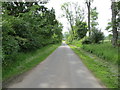 Tree-lined minor road to Inchyra