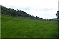 Drystone walls on the edge of the valley