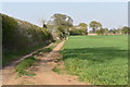 Farm track on Sheepdrift Road