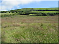 Near Croyde