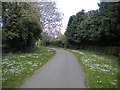 Derby Canal path, Shelton Lock