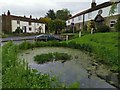 Sancton Pond