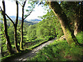 View over a track in Nantgwynant