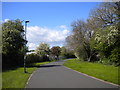 Derby Canal path, Crewton (2)