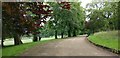 Path through Spinney Hills Park, Leicester