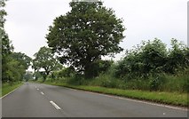 TF0998 : Holton Road south of Nettleton by David Howard