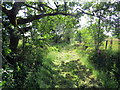 Llwybr ceffyl ger Glangors / Bridleway near Glangors