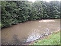 Pond near Church End