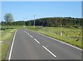 Approaching the Z-bend on the A25 at Cold Brae Forest