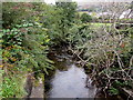 Downstream along the Ogwr Fawr, Wyndham