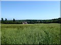 Vans Gill Field/Site of Retford Wood