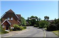 The Old Hop Garden, Peasmarsh