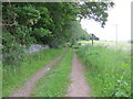 Enclosed track leading towards Countlaw Cottage