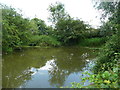 Village pond, Bendish, St Paul