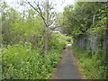 Footpath north of Bidston (2)