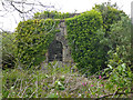 Wheal Basset - small engine house